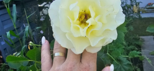 Pregled najnovijih blogova o knjizi Razgovori s Dušom by Nikolina Ivanović
